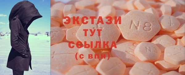СК Медвежьегорск