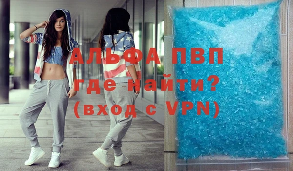 СК Медвежьегорск