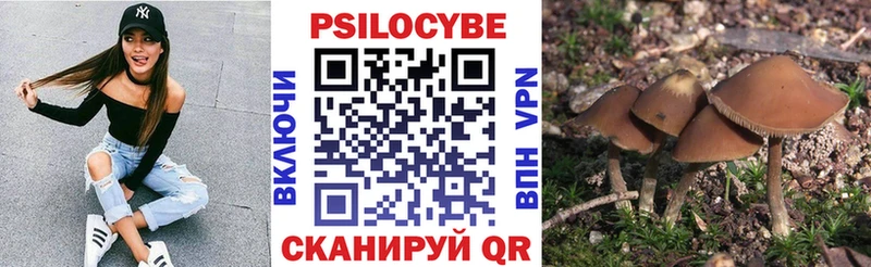 Псилоцибиновые грибы мицелий Байкальск